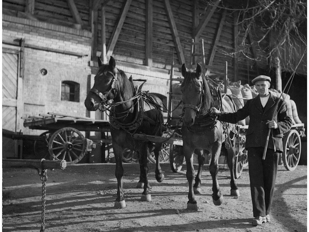 Kornlieferung von Vielbringen in die Schlossmühle Worb (Fotografie)