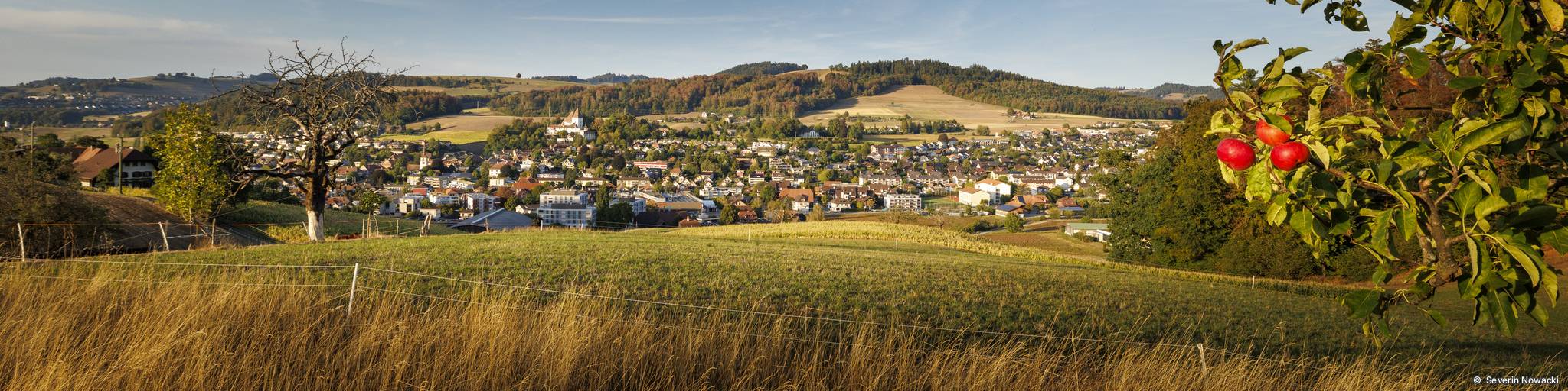 Blick von Wisle auf Worb Dorf mit Schlos un Kirche
