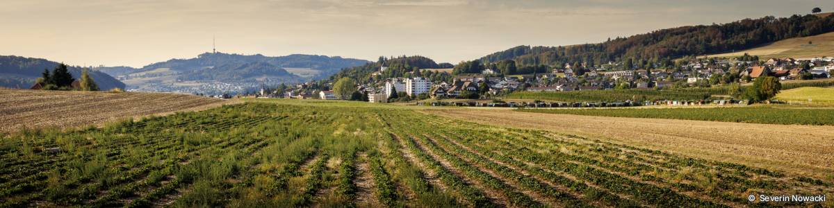 Blick von Niderhus auf Worb Dorf mit Schloss und Kirche
