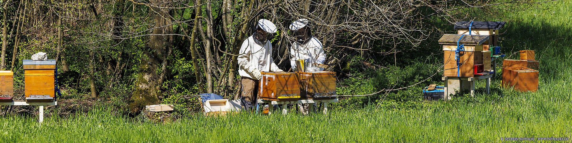 Imker Hans Eberhart mit Frau und Bienen 