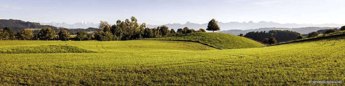 Blick vom Hubel über den Schlossacker