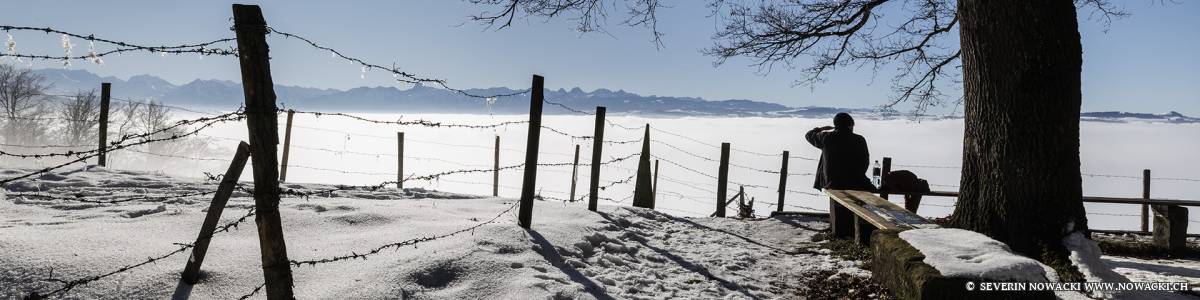 Blick von der Lehnrütti über das Nebelmeer auf die Gantrischkette