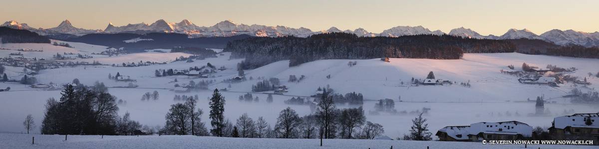 Blick von Wikartswil auf die Berner Alpen